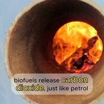 REVEALED - Are Biofuels GOOD or BAD?