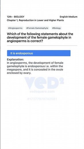 Angiosperms Female Gametophyte Development 12th Biology