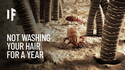 What happens if you don't wash your hair for a year?