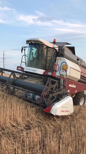 agro_fermer116 on TikTok