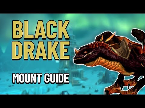 How To Get The Black Drake Mount - WoW Mount Guide