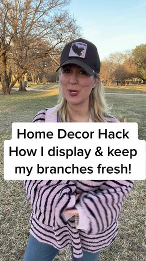 Home Decor Hack: Tips for Displaying and Keeping Fresh Branches