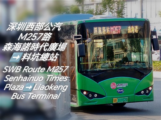 料坑極頻密穿梭車------深圳西部公汽M257路（舊768路）前方展望全程（20260106）