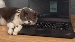 Watch USB Connection with Computer-Easy to Use on Amazon Live