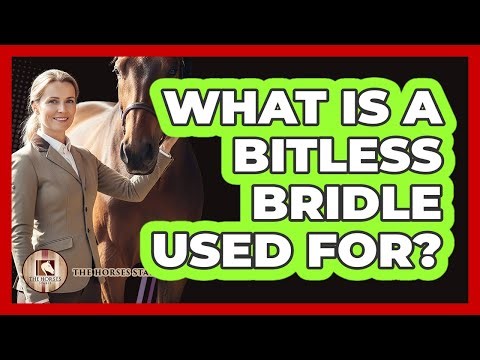 What Is A Bitless Bridle Used For?