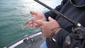 1.1K views · 20 reactions | Underspinning with Roy Hawk - - Gary Yamamoto Custom Baits Roy Hawk Fishing Tyler Brinks #DShad #YamamotoBaits #SpringFishing #BassFishing | WesternBass | Facebook