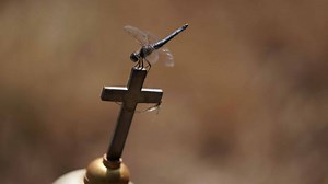 Lenape Indian Tribe looks to reclaim historic Delaware land, establish sovereignty