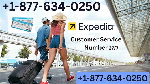 Official Expedia® Customer Service ⬌ Your Complete 24/7 Live Person Support Guide