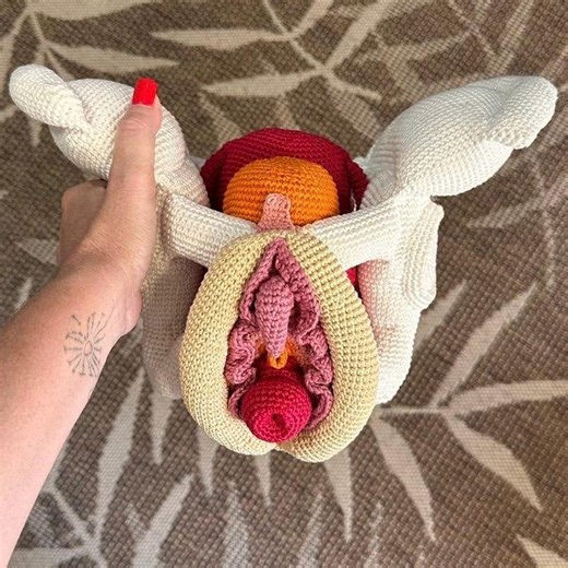 Complete Female Pelvis (pattern English, PDF File) - Etsy