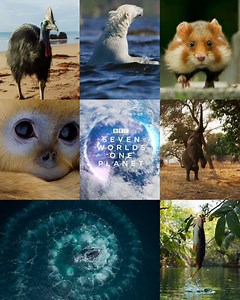 Get ready to take a closer look at our extraordinary planet. #SevenWorldsOnePlanet, with Sir David Attenborough, starts Sunday 27th October at 6.15pm on BBC One & BBC iPlayer. | BBC iPlayer