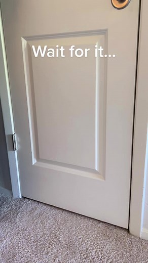 Taki Sticks Snack Review