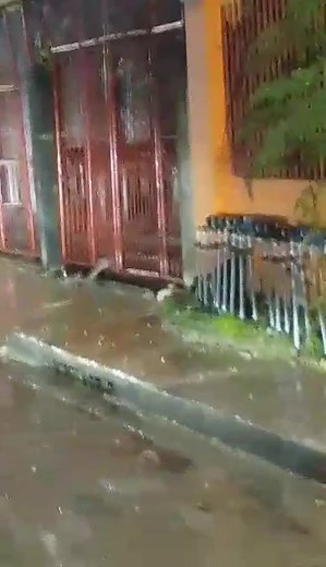 651K views · 4.3K reactions | Tan-awa, naay bitin sa Paras apartment, atbang Leaton School Toledo City taas kaayo. Unsa ni klase nga bitin? Video not mine, sa ako ning kauban nga si Deejey Kyl .  kinsay naa number sa Cenro? Nakabarog daw, so banakon ni?pero tingog nimu DJ Kyle cute kaayo. Di jud madungan... #fbreelsfypシ゚viralシ #highlightseveryone #followersreelsfypシ゚viralシfypシ゚viralシ #followersreels #fbreel | Vernz Diamante | Facebook