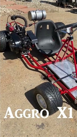 Aggro X1 DIY Go Kart First Test Drive