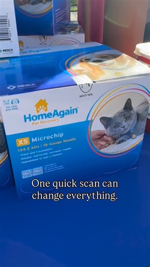 Did you know our county shelter officers scan dogs in the field — and if they’re chipped and registered, they’ll return them home instead of taking them into the shelter? We can’t tell you how many times responsible pet parents have had their dogs safely returned because of something as simple as a microchip. It’s happened after a gate was left open by a gardener, a pet sitter forgot to latch a door, or a delivery driver spooked a dog who slipped out — because the truth is, dogs get out. It happ