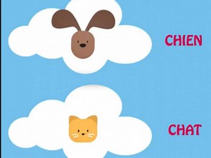 L'application Filalapat, utile en cas de chien ou chat perdu (vidéo)