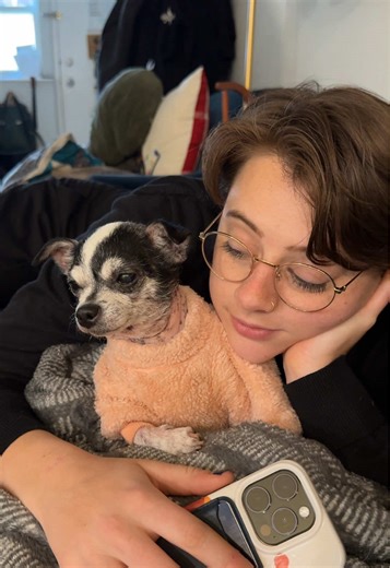 One foster, two former fosters and Kevin all existing under one roof 🥰