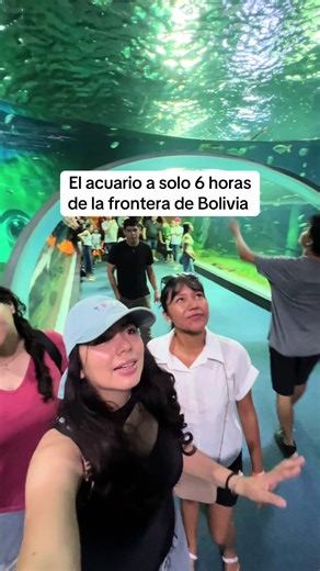 Visita al Acuario El Pantanal desde Santa Cruz