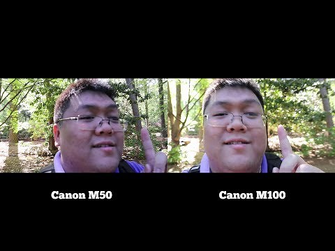 Canon M50 vs Canon M100 Video Test
