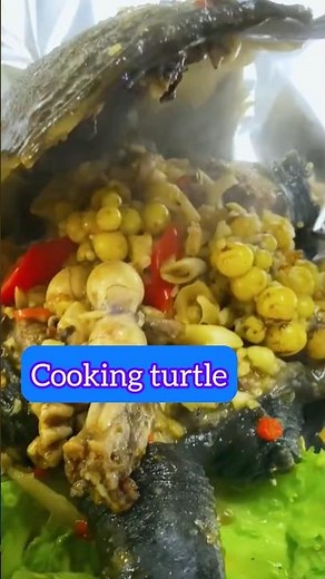Street Food| steamed turtle with special recipe #food