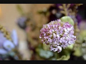 What is ISO or how to use ISO? Digital Photography Tutorial. Basic lesson for beginners