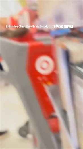 FEELING SALTY: Anti-ICE protesters purposely clogged Target checkout lines to buy one container of salt to rally against federal immigration raids. | Fox News