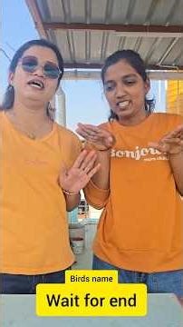 Guess bird challenge || with Sisiter #funny #games #challenge #gamenight #shorts #boardgames