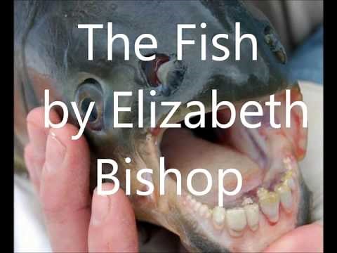 "The Fish" Elizabeth Bishop reads her own poem GREAT