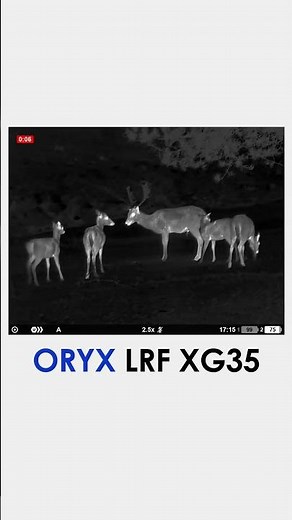 Pulsar Oryx LRF XG35 | 640 Thermal + Built-In Rangefinder