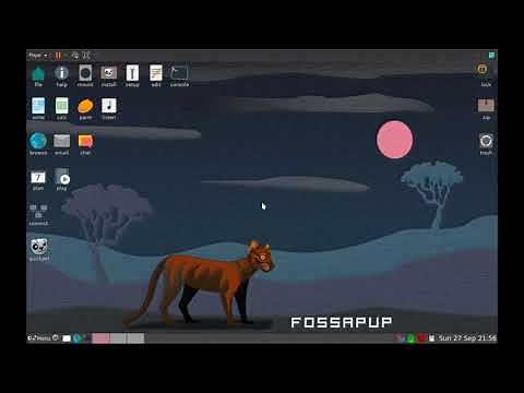 How To Install Puppy Linux 9.5 As The Main OS - Very Quick Walkthrough (FossaPup)