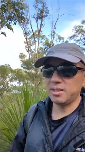 Glenwood Blue Mountains National Park Walk