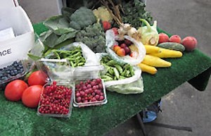 Alstede Farms Highlands Harvest Club CSA - Local Pickup