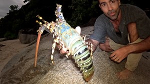 39K views · 974 reactions | Back 2 Basics Adventures on Reels | Facebook