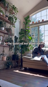 4.7K views · 52 reactions |  In the quiet of my plant room, I find...