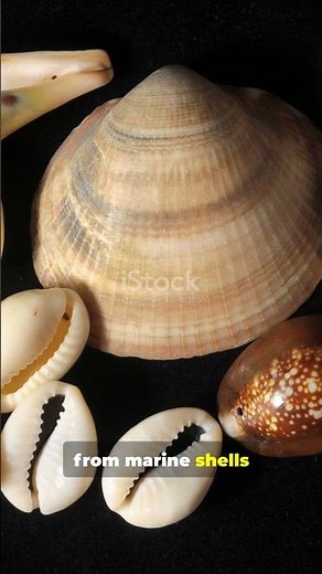 You Won't Believe These Ancient Shell Bangles!