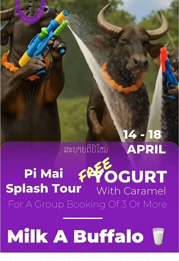 Splash, Snack & Sabai Dee: Pi Mai at the Farm! 💦 🔫 Celebrate Pi Mai traditionally 🇱🇦 — with joyful splashes, sweet blessings, and a farm full of good vibes at Laos Buffalo Dairy! From April 14–18, join our Splash Tour and participate in the spirit of Lao New Year right where it belongs — in the heart of nature, surrounded by animals, laughter, and the warmth of community. 🐃🐖🐇🐐 And here’s a little extra happiness: Book for 3 or more people, and we’ll gift you our creamy farm-made yoghurt