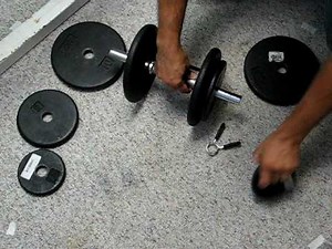 dumbell collars: spring clips