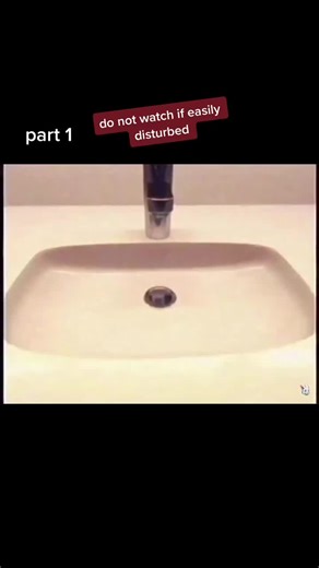 VHS FNAF Chica Soundcheck