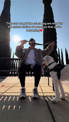 The Joy of Slowing Down with Your Labradoodle