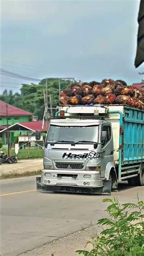 CANTER JAMBI STYLE DENGAN MUATAN SAWIT