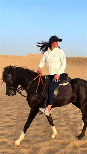 ‏🖤🤎🤍 #horseriding #fyp #horse #saqqara #dubai