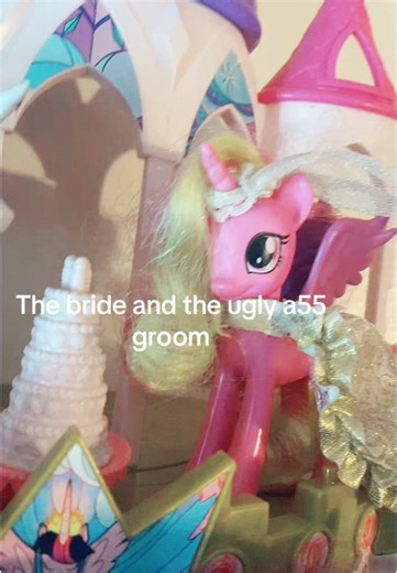 Please tell me someone else knows the ref I’m trying to make 😭😭 #mlp #mylittlepony #friendshipismagic #mlpfriendshipismagic #mylittleponyfriendshipismagic #princesscadence #shiningarmor #canterlotwedding #wedding #nostalgia #toys #childhood #reference #thebrideandtheuglyasgroom