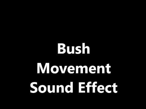 Bush Movement Sound Effect