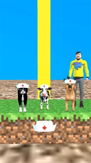 rox tv on Instagram: "Cow, cute Cat or cute Dog? Which animal can bring a hat to its owner? #cat #doglover"