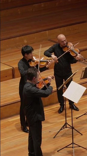 Elgar: Salut d’Amour – Philharmonie der Solisten | Live at Herkulessaal Munich, #violin #music