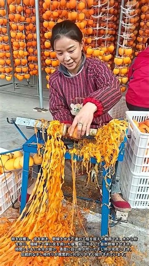 甘くて美味しい干し柿が作られる全工程 #worker #process #machine #persimmon #drying