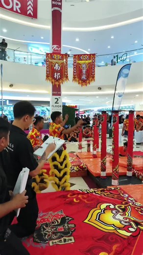 Lion Dance Performance Compilation Highlights
