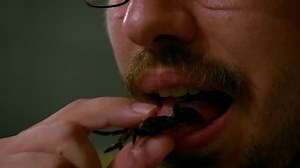 Close-up Caucasian Male Eating Spider Dinner Stock Footage Video (100% Royalty-free) 1010431685 | Shutterstock