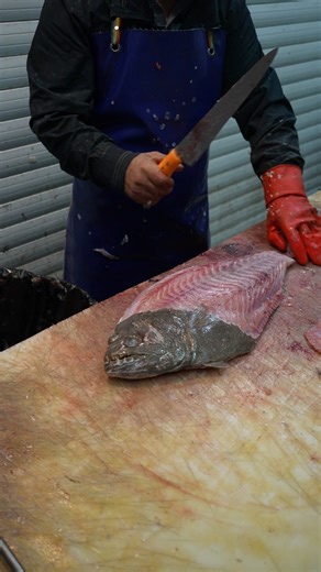 How to Skin a Fish