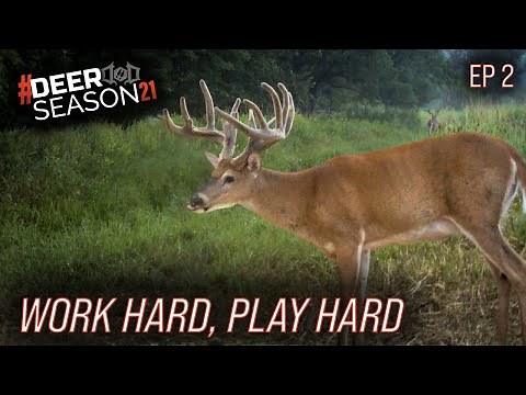 How Mark Drury Prepares For Deer Season, Top Summer Bucks | Deer Season 21