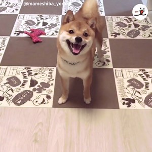 Smile is a new language | PECO